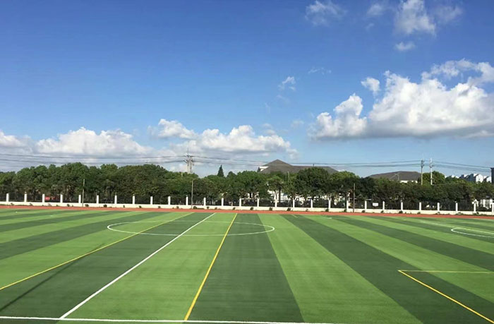 定安县人造草坪填充2024欧洲杯